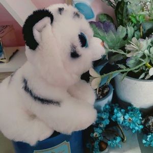 2013 snowy beanie boo tiger with soft, white fur and bright blue eyes!
